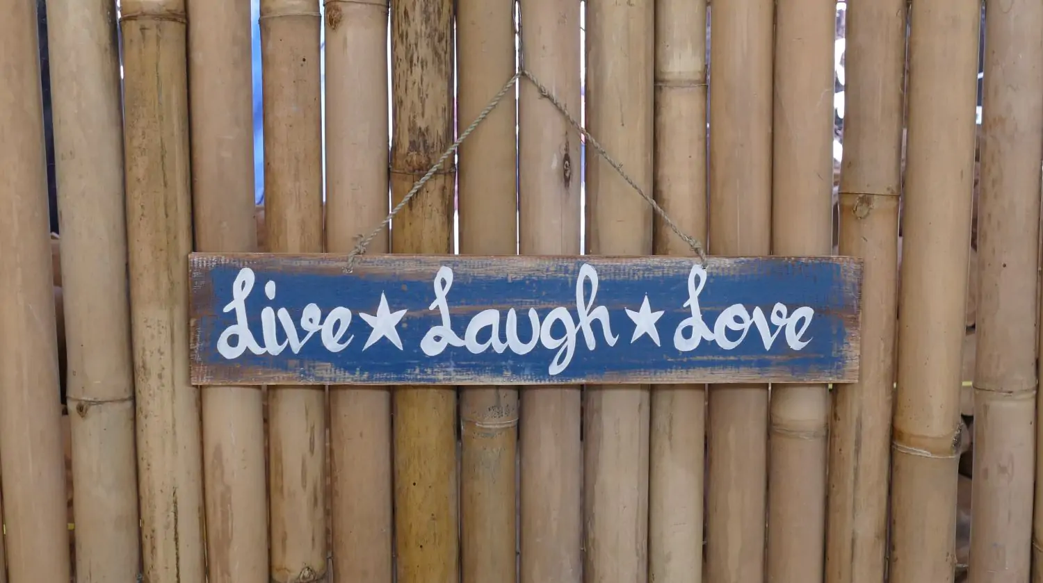  Product image 1 of the product “